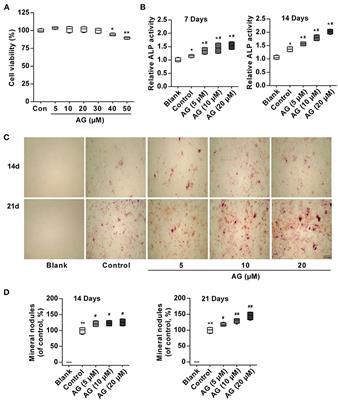 Astragalin Promotes Osteoblastic Differentiation in MC3T3-E1 Cells and Bone Formation in vivo